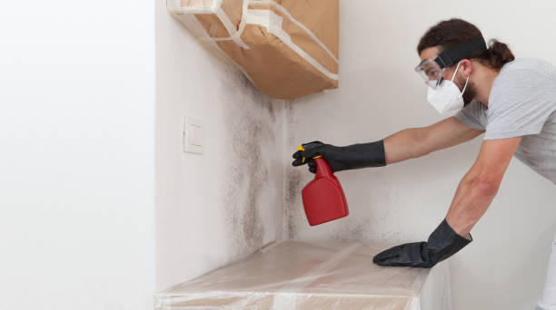 Professional Crawl Space Mold Removal technician working in Wyandanch, NY